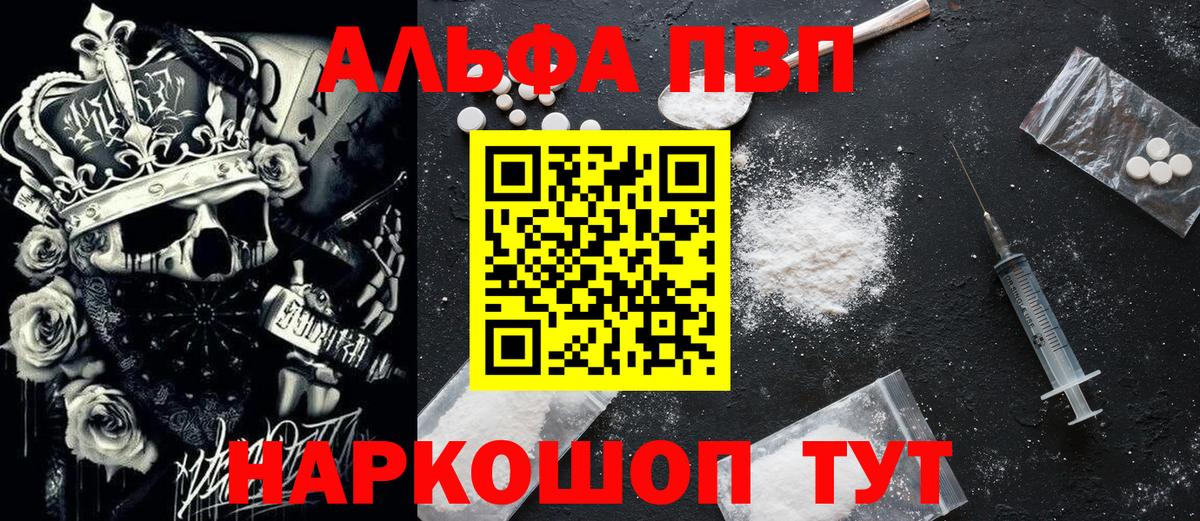 A PVP крисы CK Луга