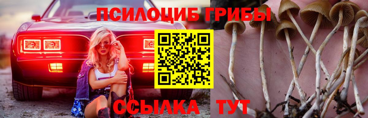 Луга  Галлюциногенные грибы мухоморы  цена наркотик  Вход с VPN 